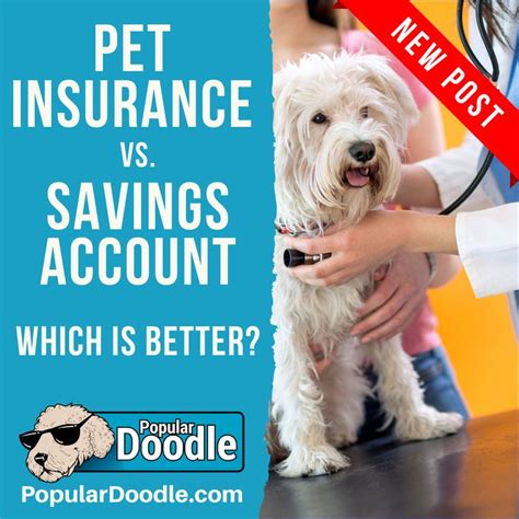 selectra pet insurance phone number.